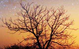 澳门時時彩背后的‘灰产’怎么运作：从引流到收割的4步：最后一条一定要看