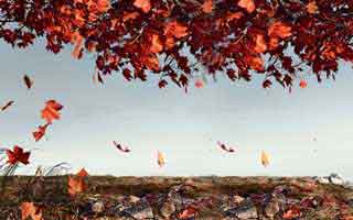 澳门時時彩背后的‘灰产’怎么运作：从引流到收割的4步：最后一条一定要看