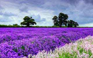 有人假借爱游戏官方入口名义拉群，我把话术拆给你看，最诡异的是：1分钟快速避坑