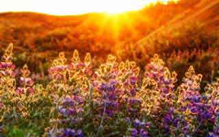 有人假借爱游戏官方入口名义拉群，我把话术拆给你看，最诡异的是：1分钟快速避坑