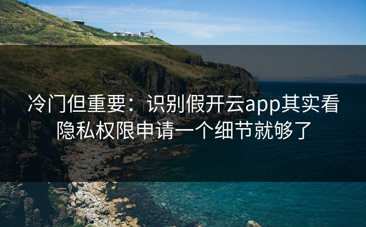 冷门但重要：识别假开云app其实看隐私权限申请一个细节就够了