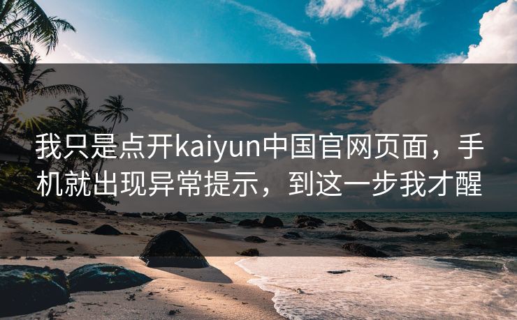 我只是点开kaiyun中国官网页面，手机就出现异常提示，到这一步我才醒